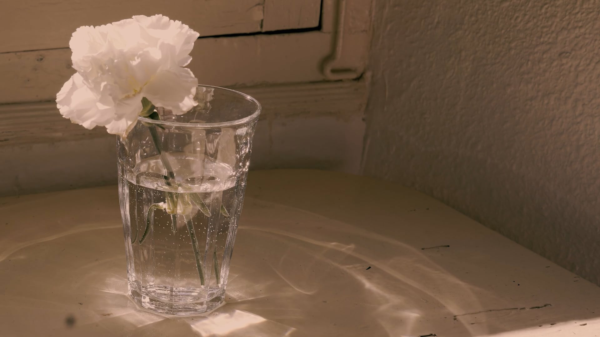 Exposiciones Temporales